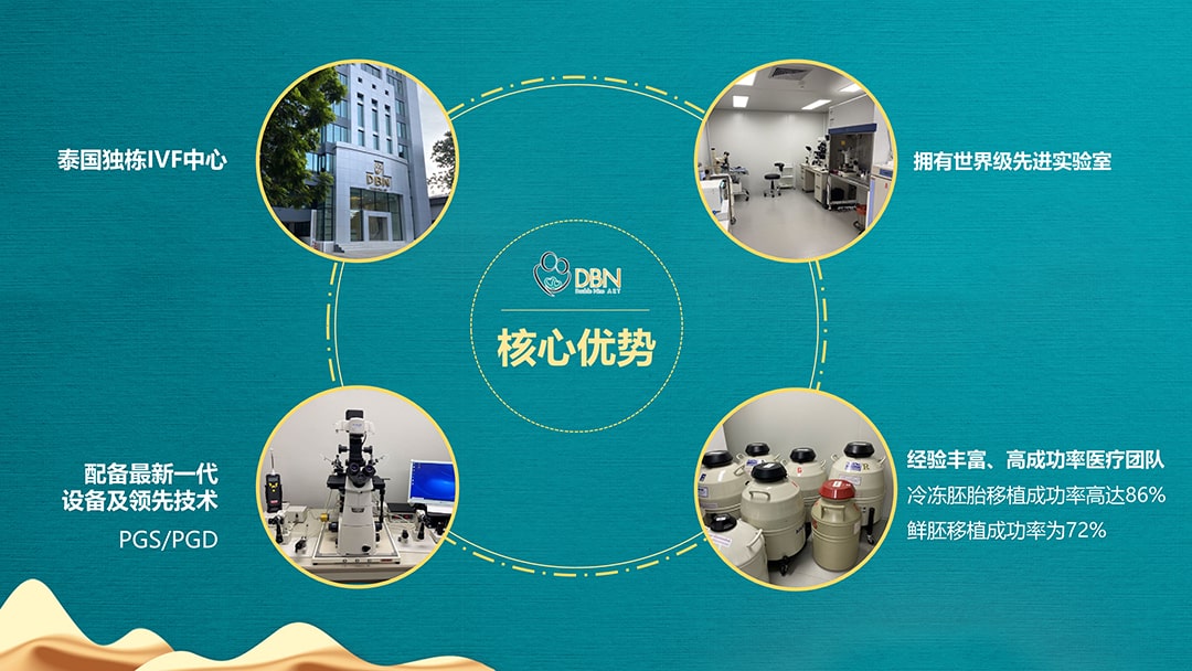 图片[5]-泰国DBN试管婴儿生殖中心-泰国试管医院官网_DEEP生殖辅助_免费预约平台